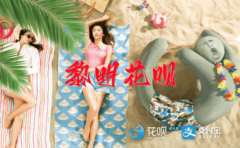 夙兴夜寐花呗